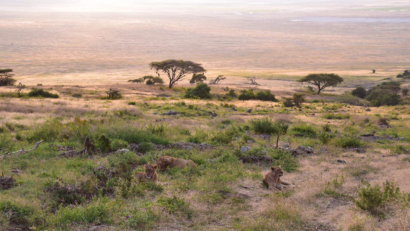 África una tierra mágica