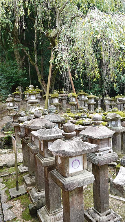 Linternas el interior del templo