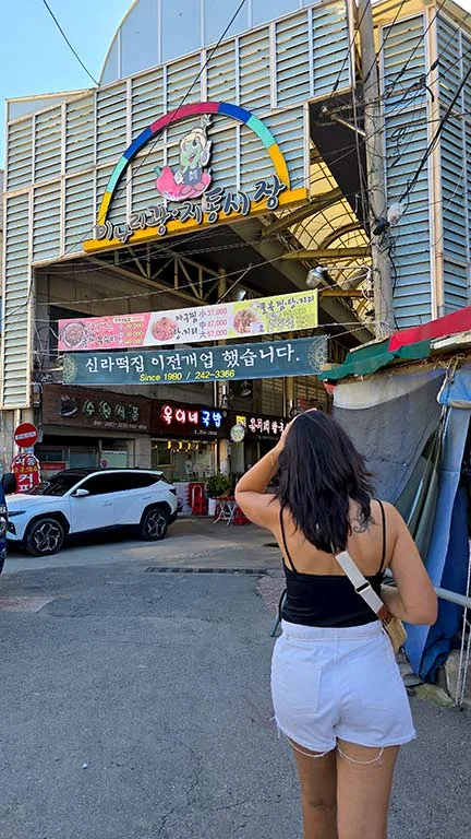 Caminando por Suwon a un mercado tradicional