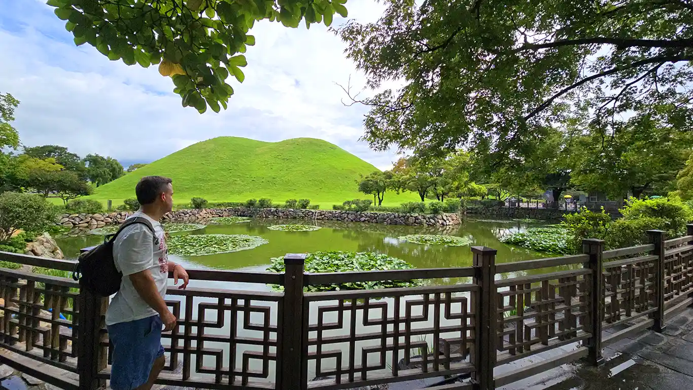 estanque de flores de loto