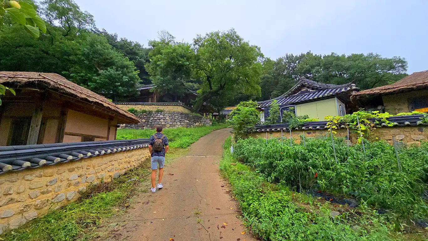 camino de casas de la aldea