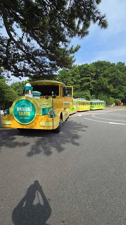 Tren que te lleva por los acantilados