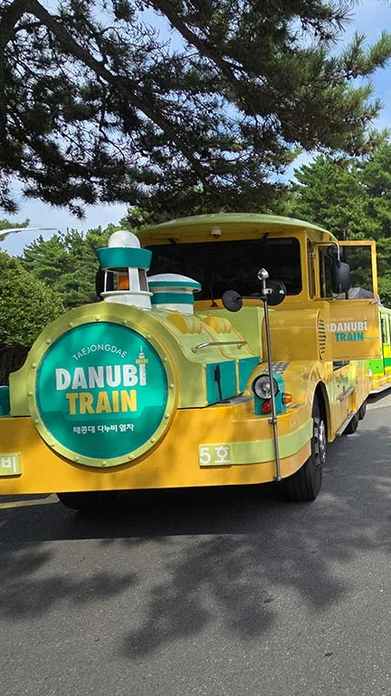 Tren que hace la ruta