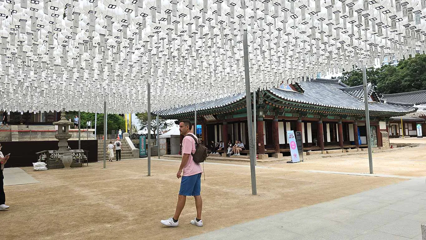 Farolillos blancos del templo Bongeunsa