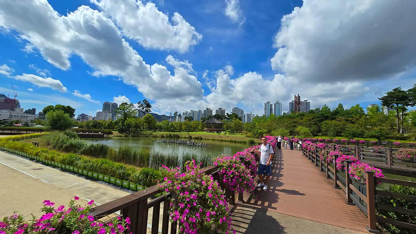 Jardín y estanque dentro del parque