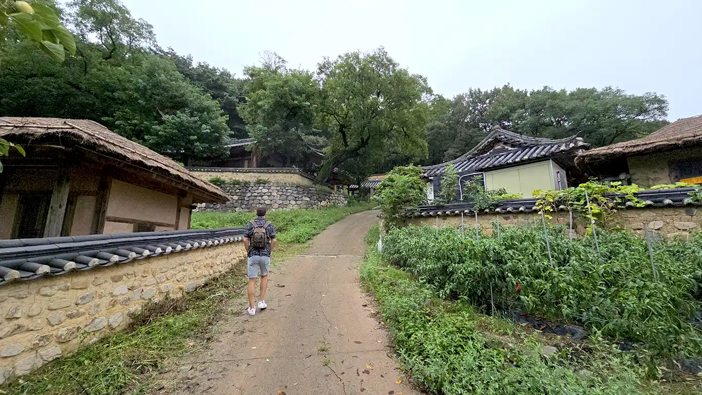 Casas de techo de tejas y casas de techo de paja
